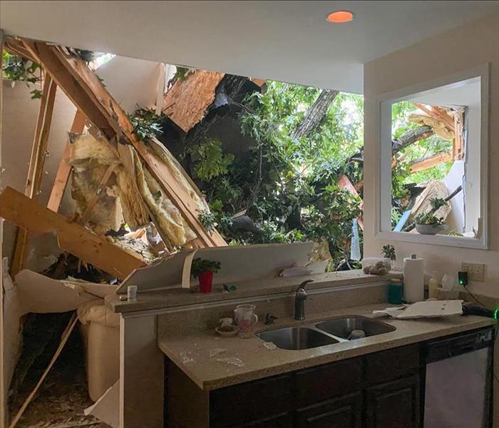 Tree that fell through the roof of a Columbia, TN home.